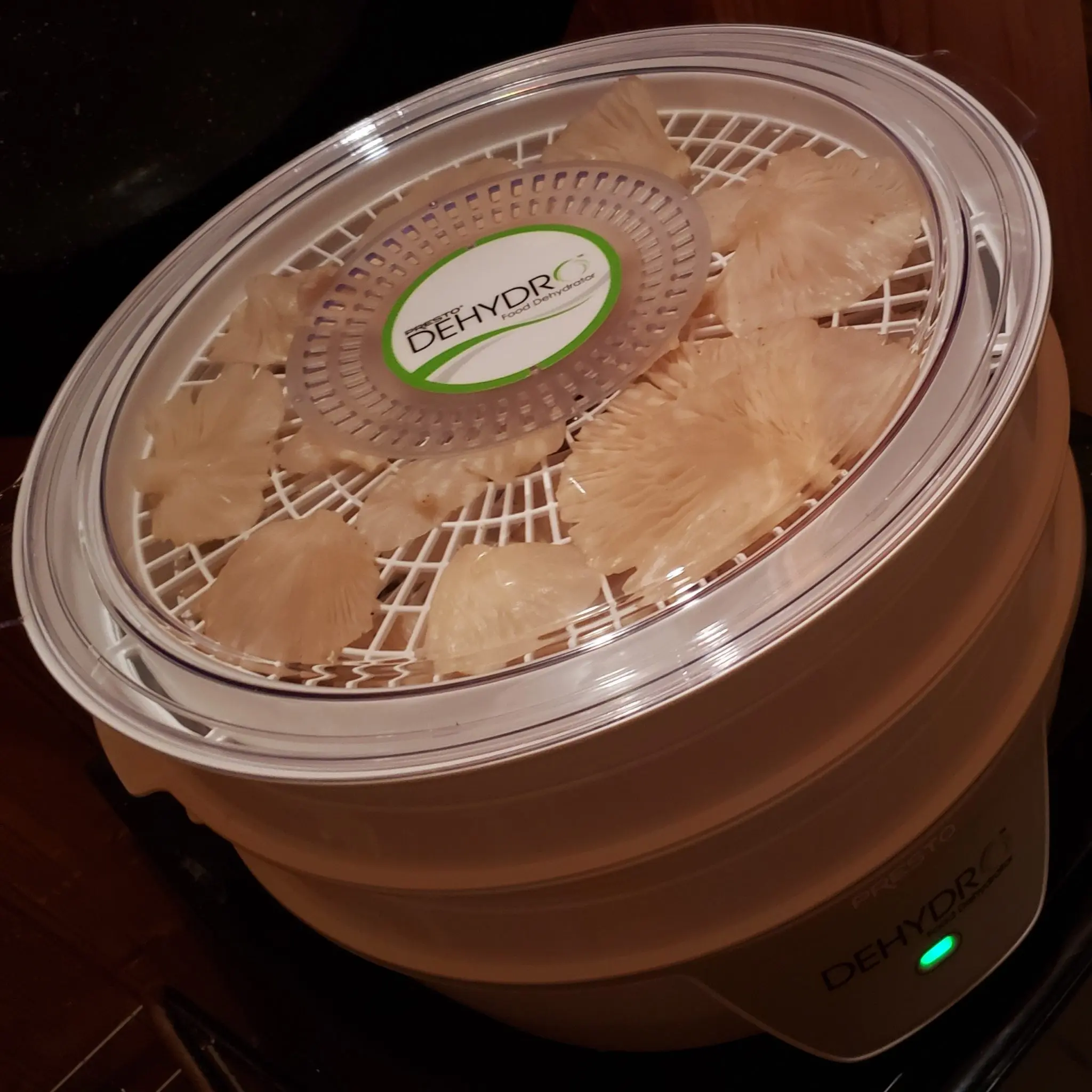 Dehydrated Oyster Mushrooms