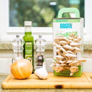 Oyster Mushroom Grow Kits