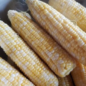 Sweet Corn